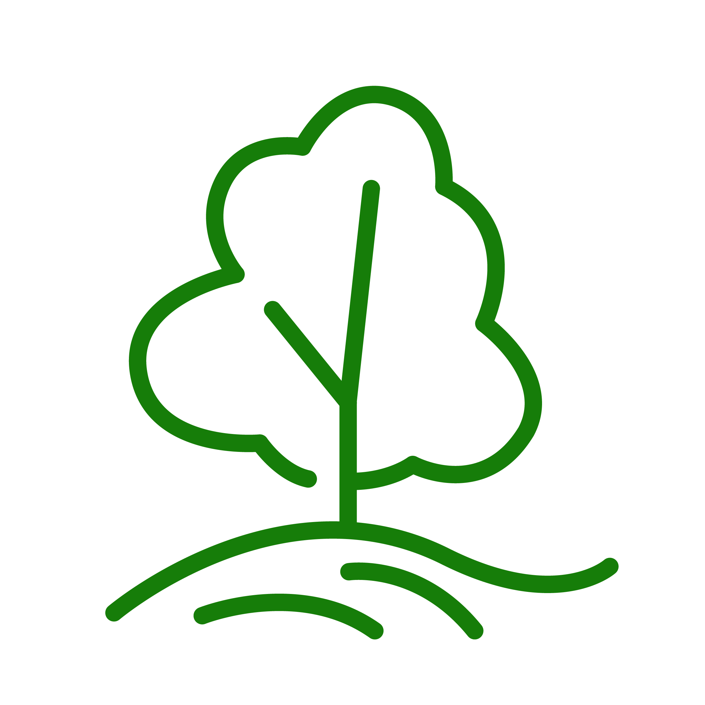 Baumpflege